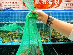 -聚味斋香辣蟹·蓝龙(塘沽总店)