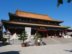 -天津大悲禅院