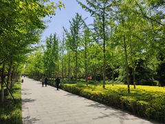 -华北军区烈士陵园