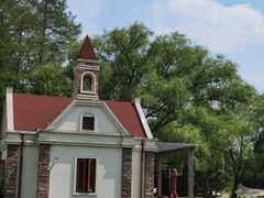 -上海共青森林公园