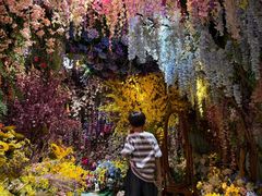 -正佳雨林生态植物园