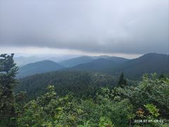 -武陵山森林公园