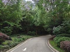 -南京市江宁方山