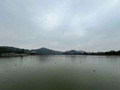 -顺峰山公园