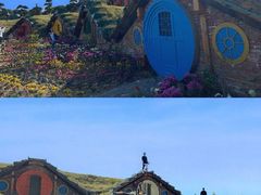 -武汉紫薇都市田园