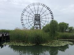 -苏州太湖湖滨国家湿地公园