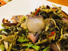 酸菜炒藏香猪-黑青稞庄园·新式藏餐·牦牛肉汤锅(新都桥店)