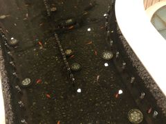 -碧中海汤泉汗蒸酒店