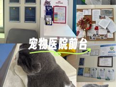 -佩兹宠物医院肿瘤专科·眼科·牙科(黄浦店)
