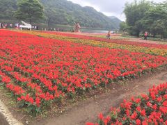 -广州市石门国家森林公园