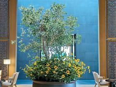 -养云安缦吧THE BAR