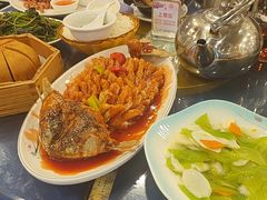 -金龙寨(龙城路店)