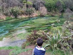 -怀托摩萤火虫洞