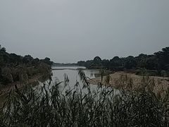 -鹤之洲湿地公园