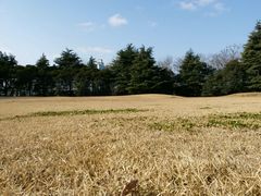 -春兰国宾馆(凤城河风景区老街店)