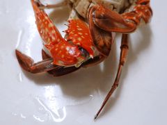 -阿华海鲜饭店(山河路店)