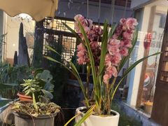 -大院河·仙鱼莊(九眼桥店)