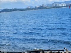 -深圳湾公园(南山区)