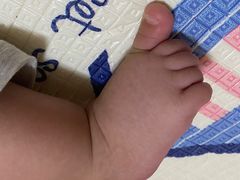 -熊猫不走蛋糕（同城送）(长沙店)