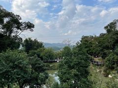 -天鹿湖森林公园