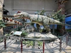 -国家自然博物馆