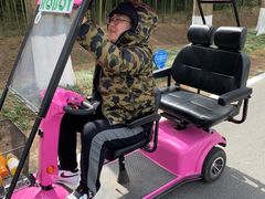 -黄海国家森林公园