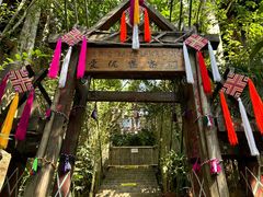 -西双版纳原始森林公园