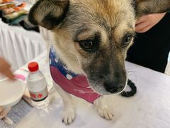 -远洋未来广场(育慧北路店)