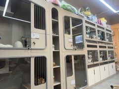 -唐小姐の私宠·宠物洗护美容·撸猫馆·购宠(周浦万达旗舰店)