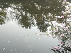 -西湖外事游船(花港观鱼码头)