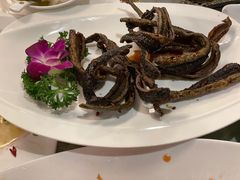 -新聚丰菜馆(太监弄店)