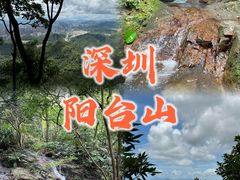 -阳台山森林公园