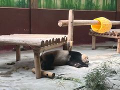 -杭州野生动物世界