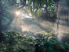 -Chom Cafe and Restaurant