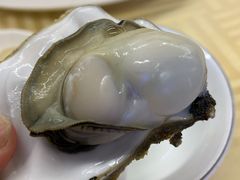 烤生蚝-新金盛·海鲜酒楼(盐田店)