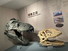 -自贡恐龙博物馆