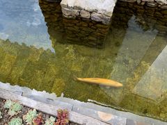 -炊烟餐厅