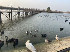 -池杉湖湿地公园
