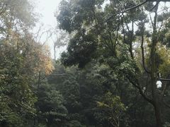 -广州市白云山风景名胜区