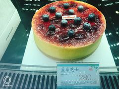 -蒲公英(五里店)