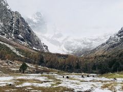 景点-毕棚沟景区