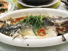 -雅香园·30年老字号顺德酒家(乐从岳步店)