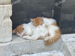 -李叔同故居纪念馆