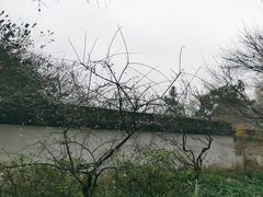 -杭州植物园