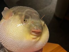 -永安鱼庄·镇江菜(东吴路店)