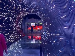 -正佳自然科学博物馆