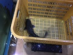 -大鹅岛灶台鱼·铁锅炖(水库路店)