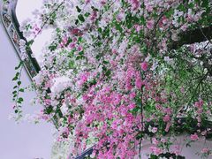 -深圳国际园林花卉博览园