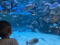 -海合安成都极地海洋公园