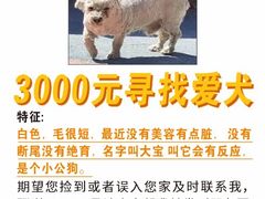 -北京佳信宠物医院